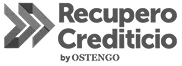 Recupero Crediticio