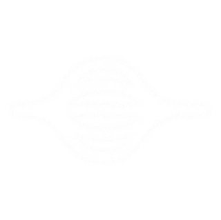 Sound wave icon representing natural voice AI